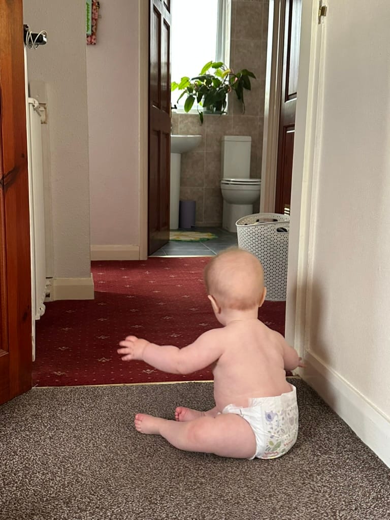 Week 31: 20/08 - 26/08