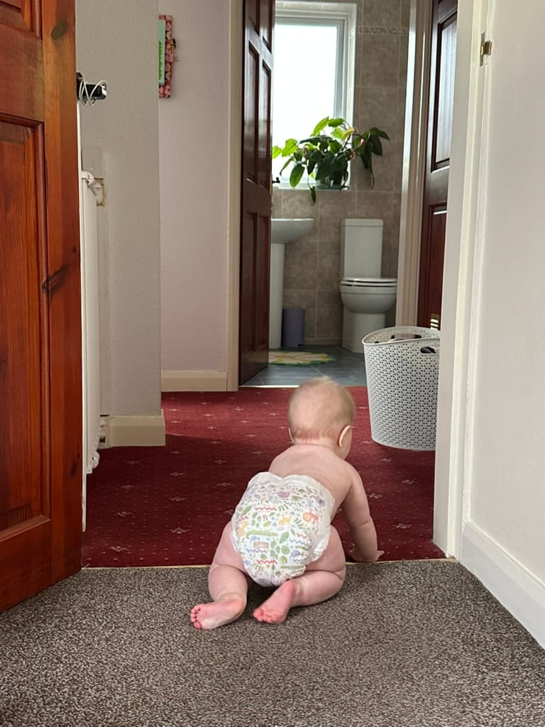 Week 31: 20/08 - 26/08