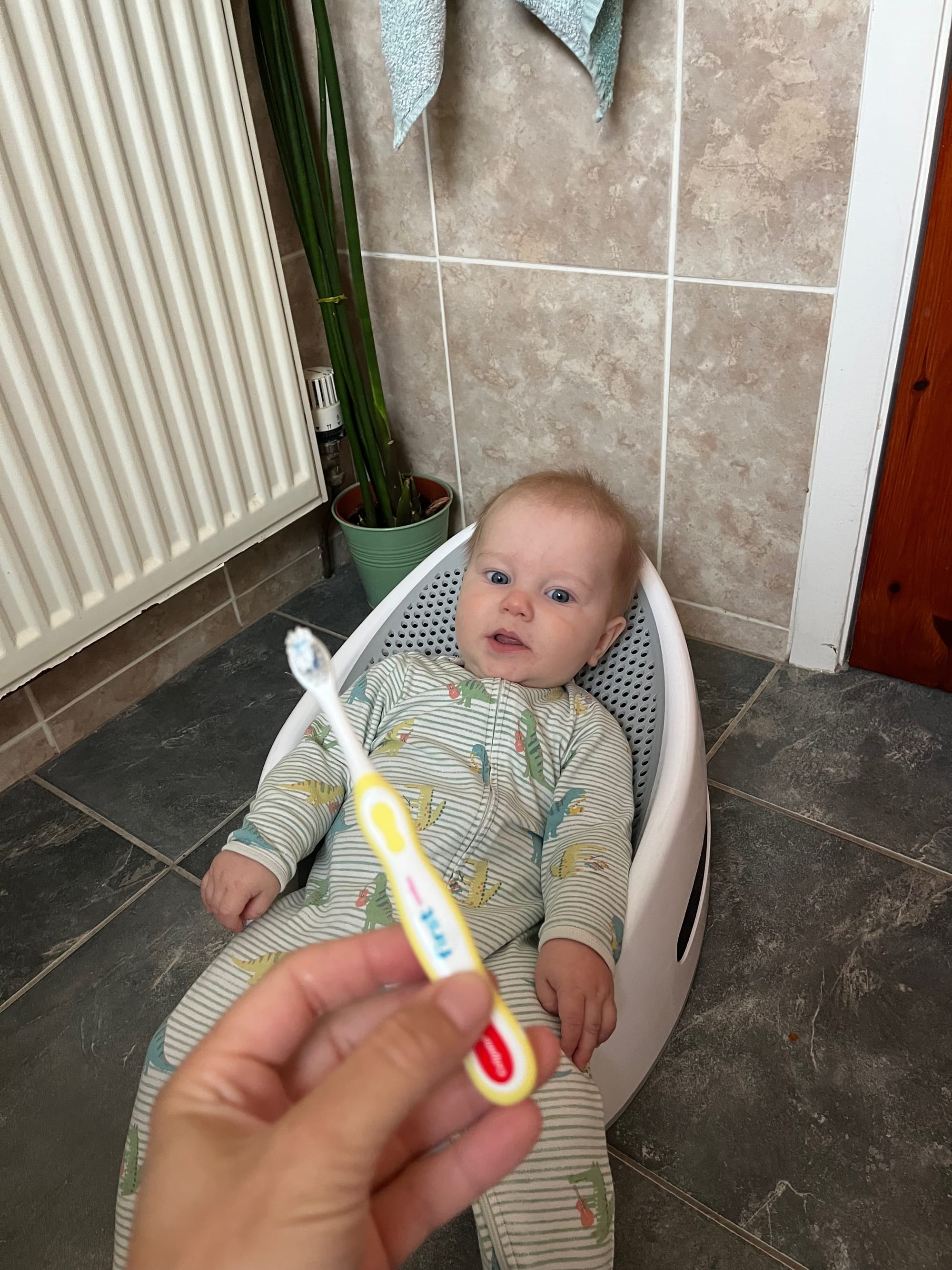 Week 31: 20/08 - 26/08