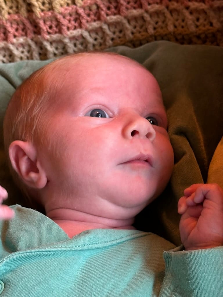 Week 35: 17/09 - 23/09