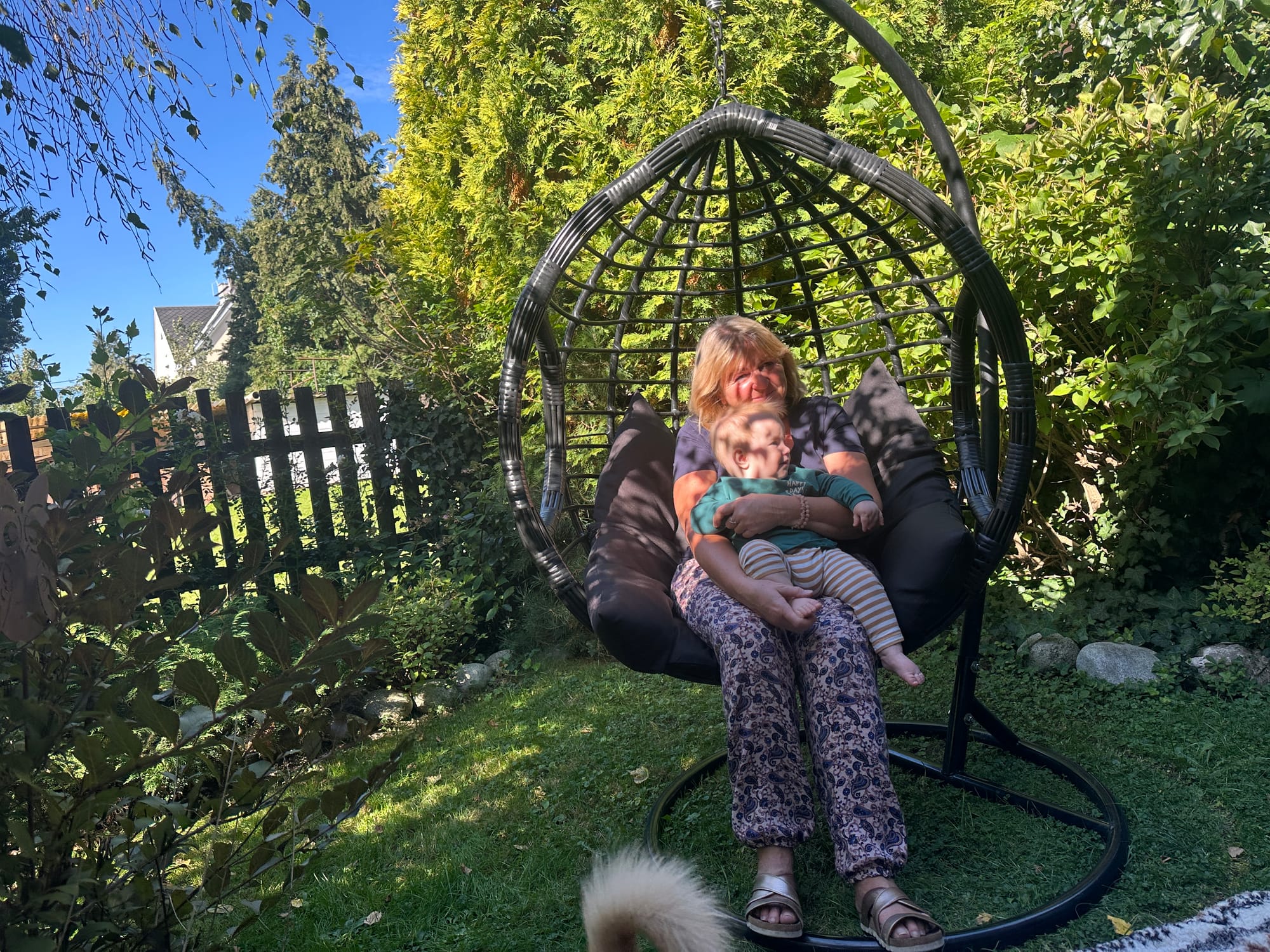 Week 35: 17/09 - 23/09