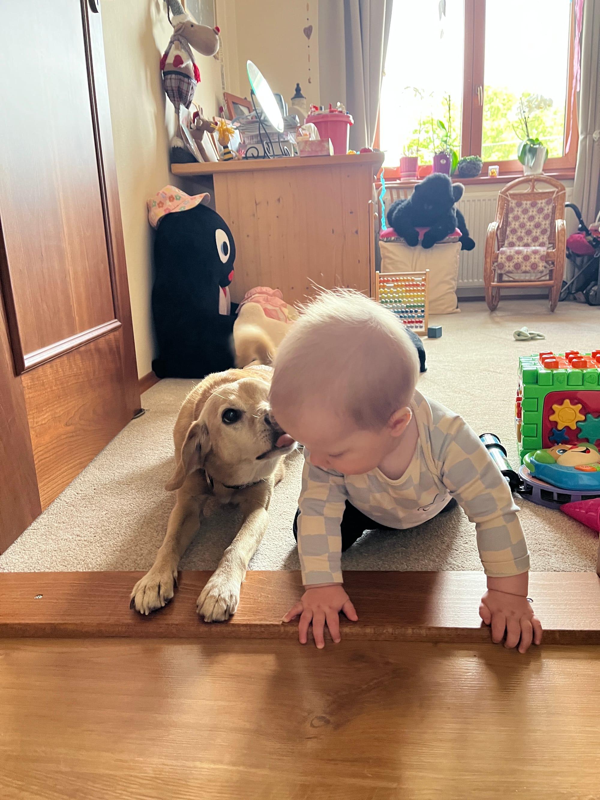 Week 34: 10/09 - 16/09