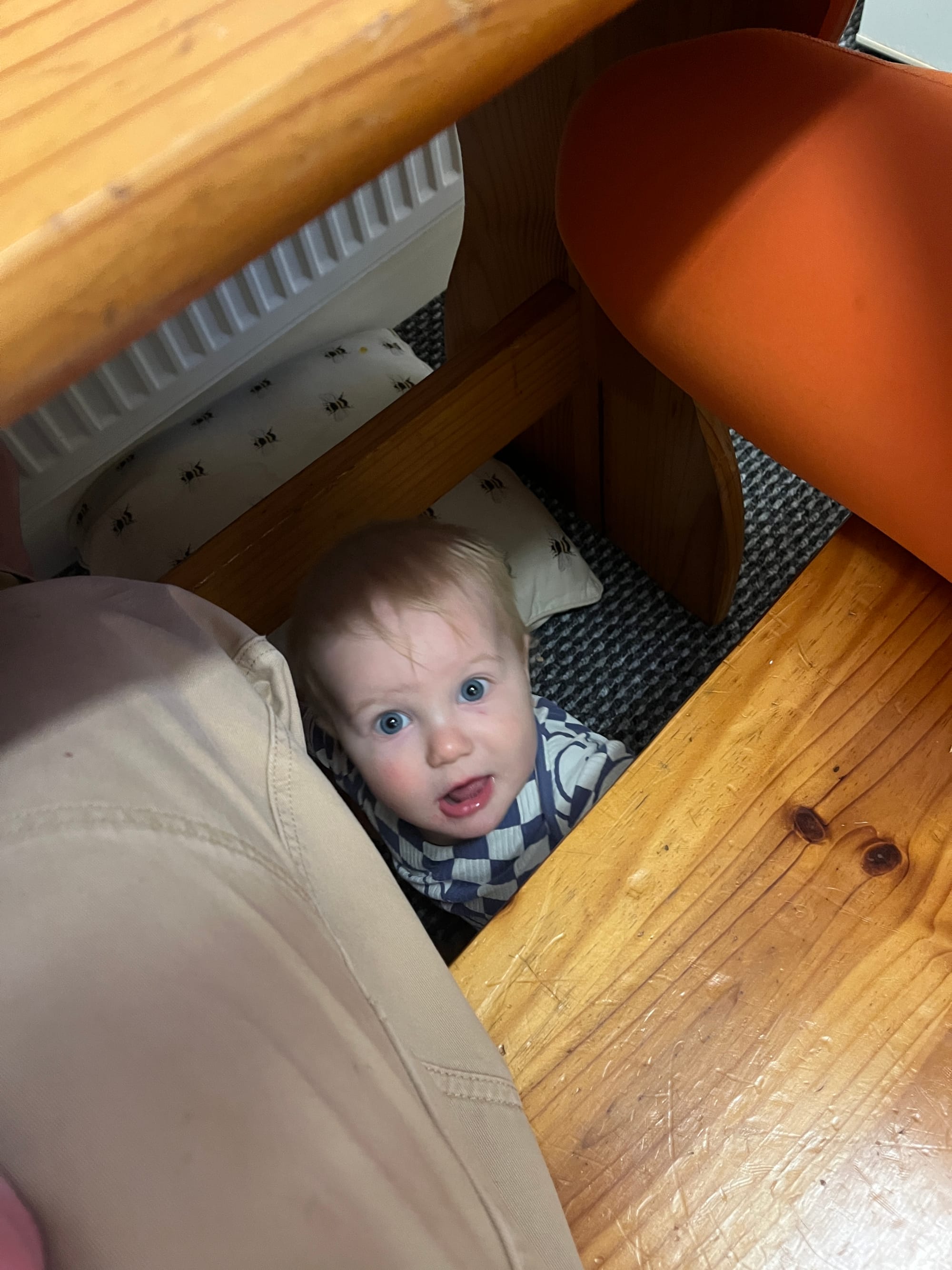 Week 39: 14/10 - 21/10