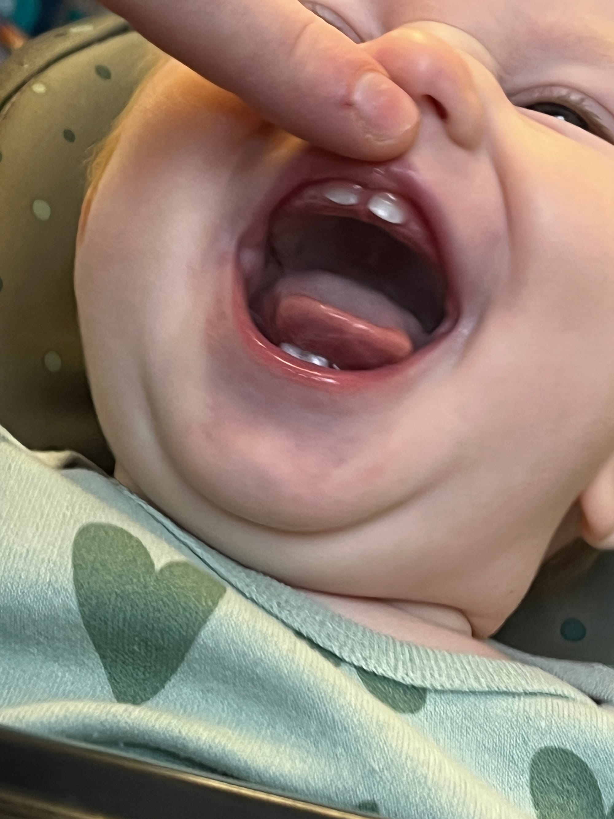 Week 40: 22/10 - 28/10