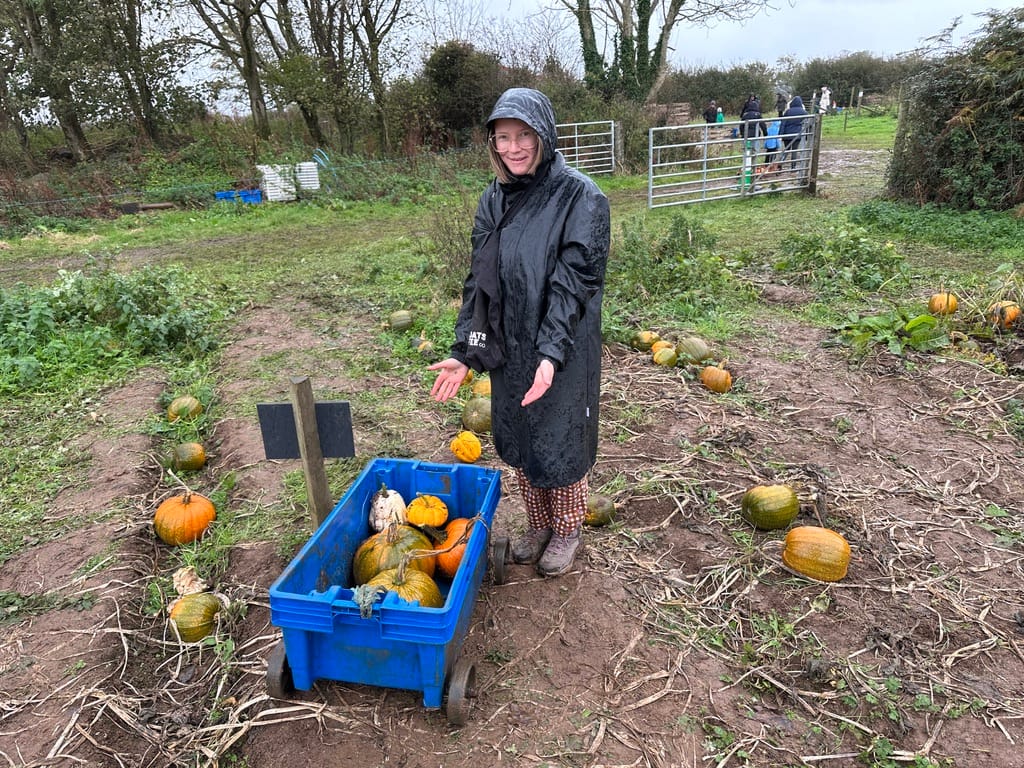 Week 40: 22/10 - 28/10