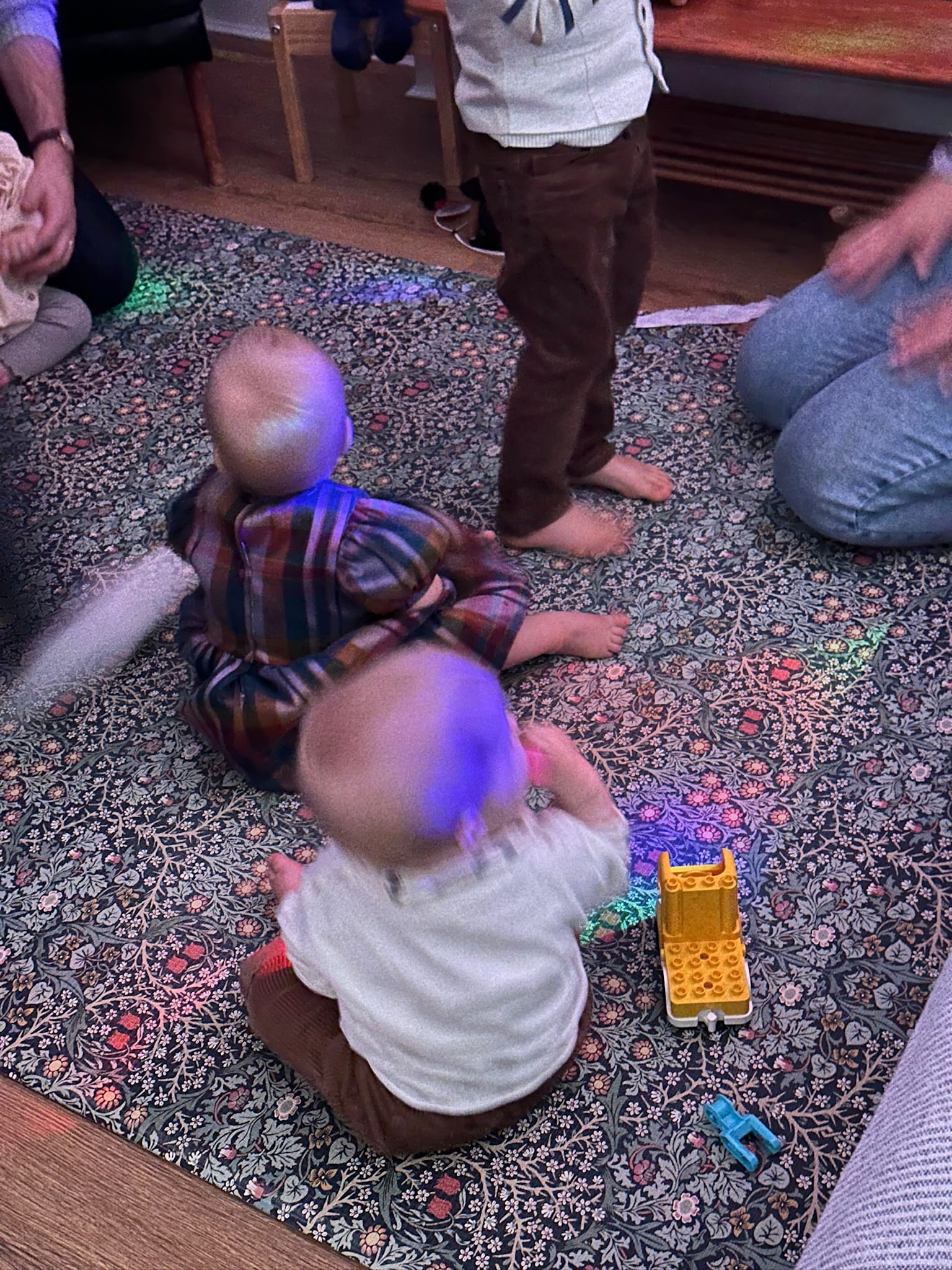 Week 42: 05/10 - 11/11