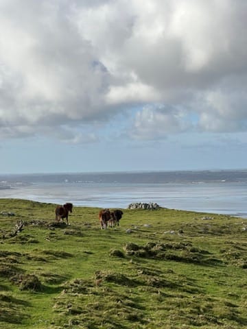 Week 41: 29/10 - 04/11