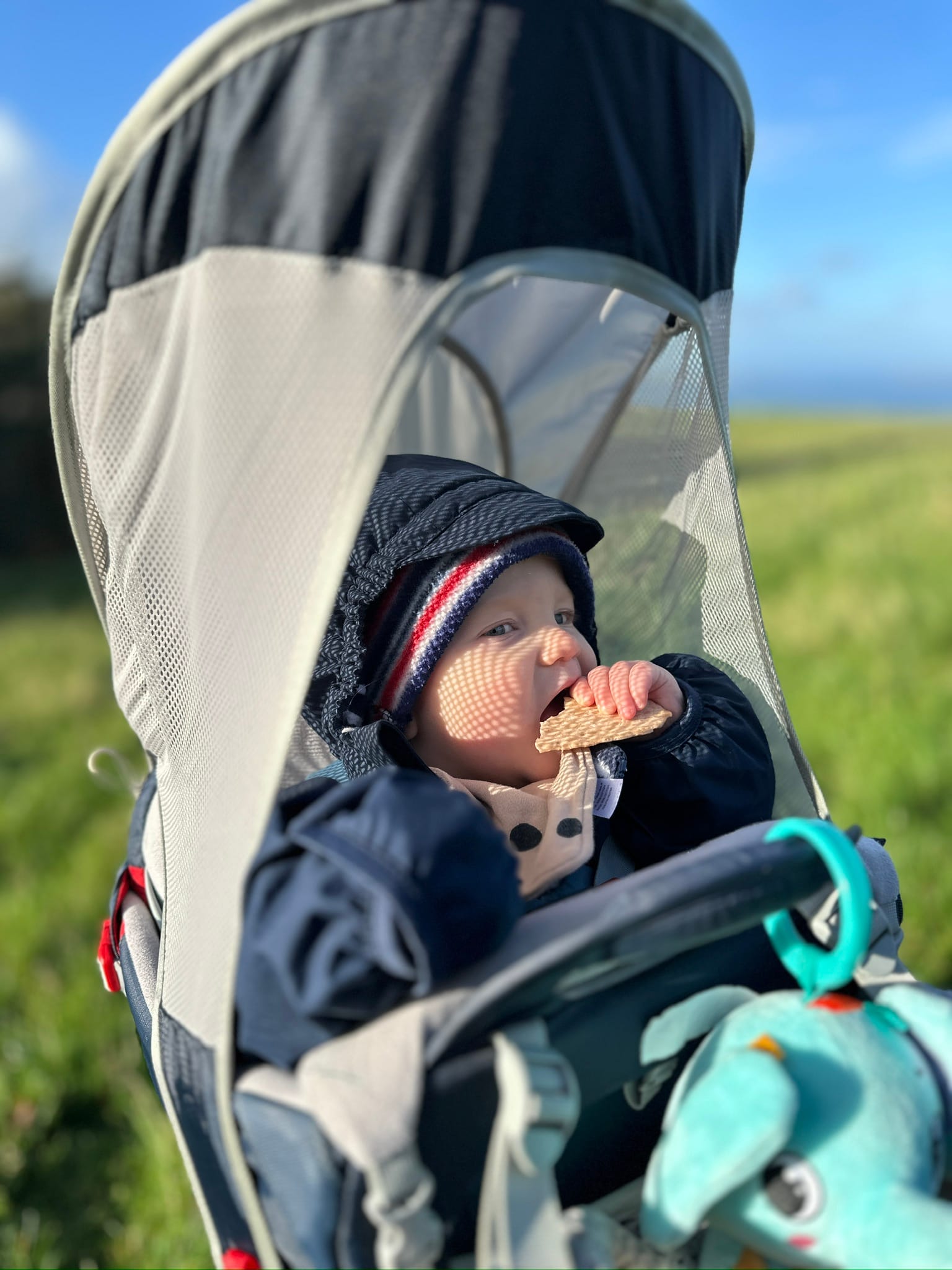 Week 42: 05/10 - 11/11