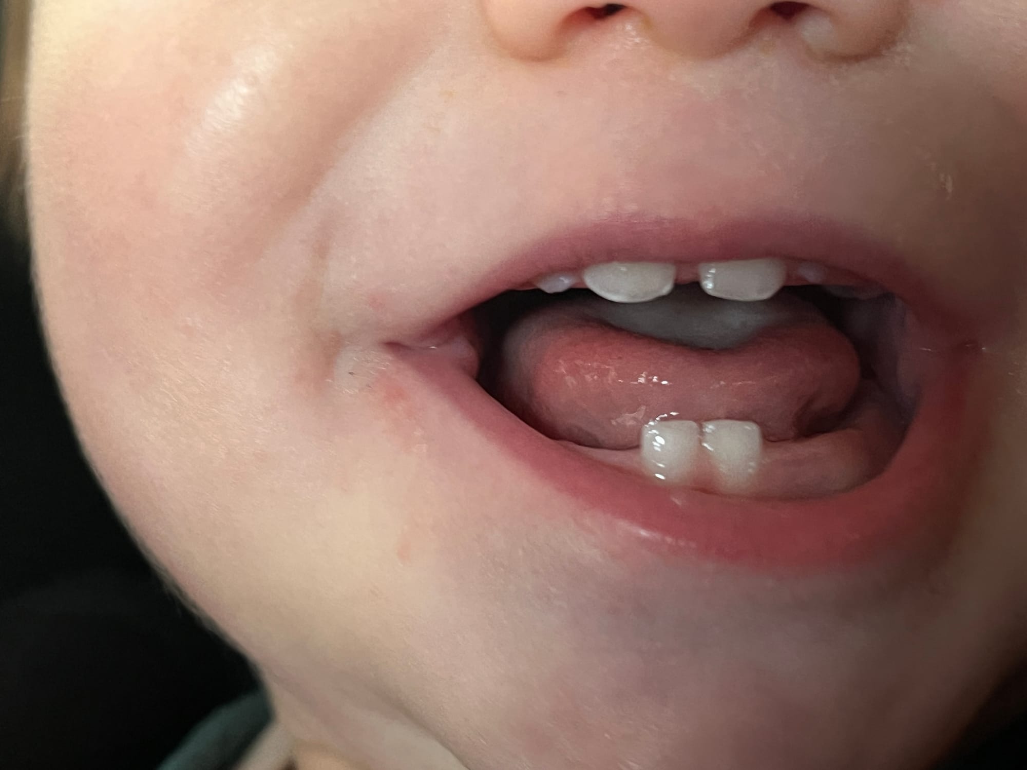 Week 42: 05/10 - 11/11