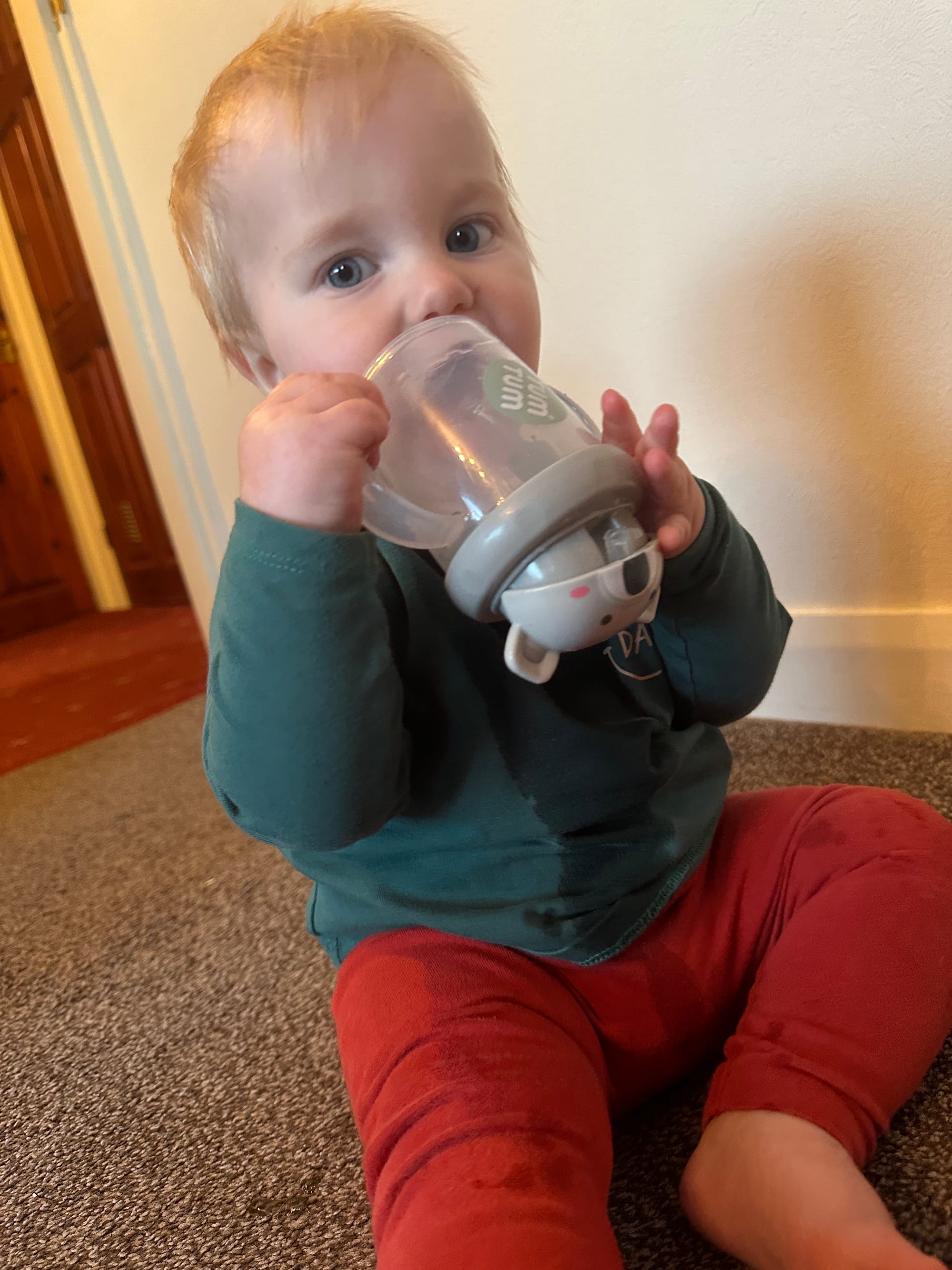 Week 42: 05/10 - 11/11