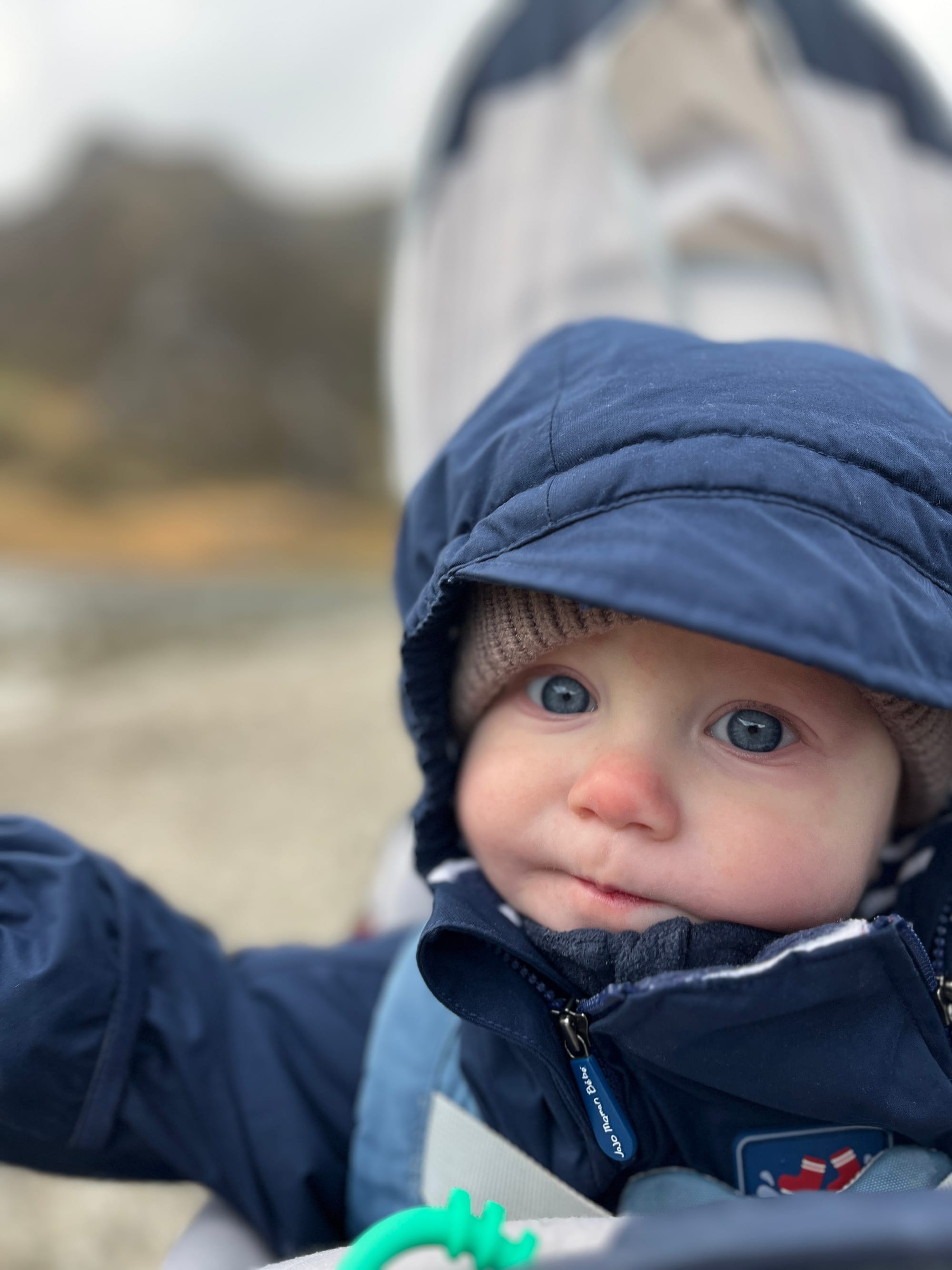 Week 41: 29/10 - 04/11