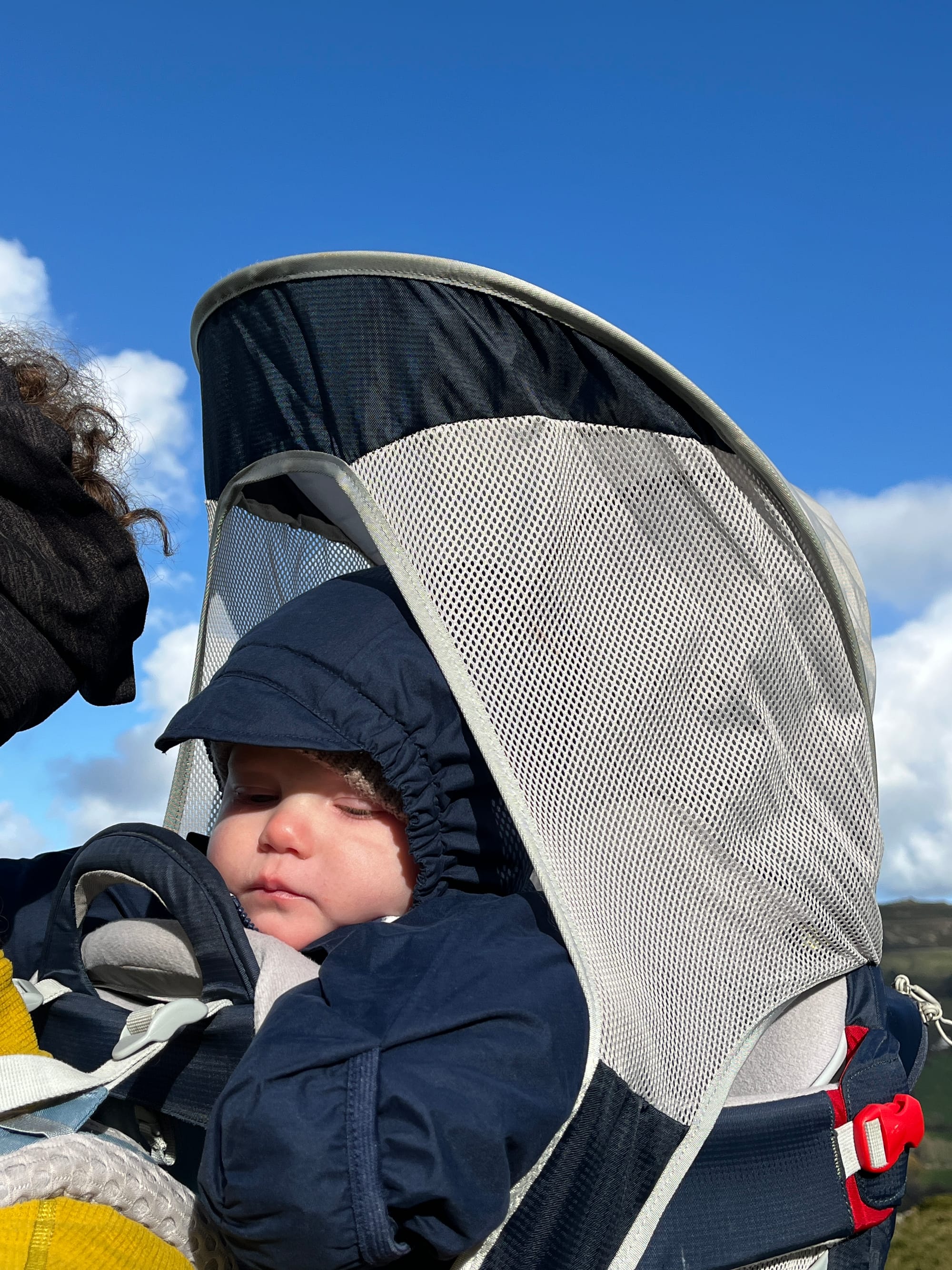 Week 41: 29/10 - 04/11