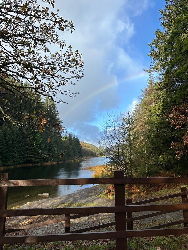 Week 44: 19/11 - 25/11