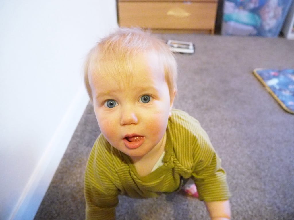 Week 45: 26/11 - 02/12