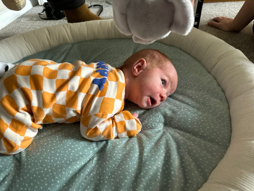 Week 5: 19/02 - 25/02