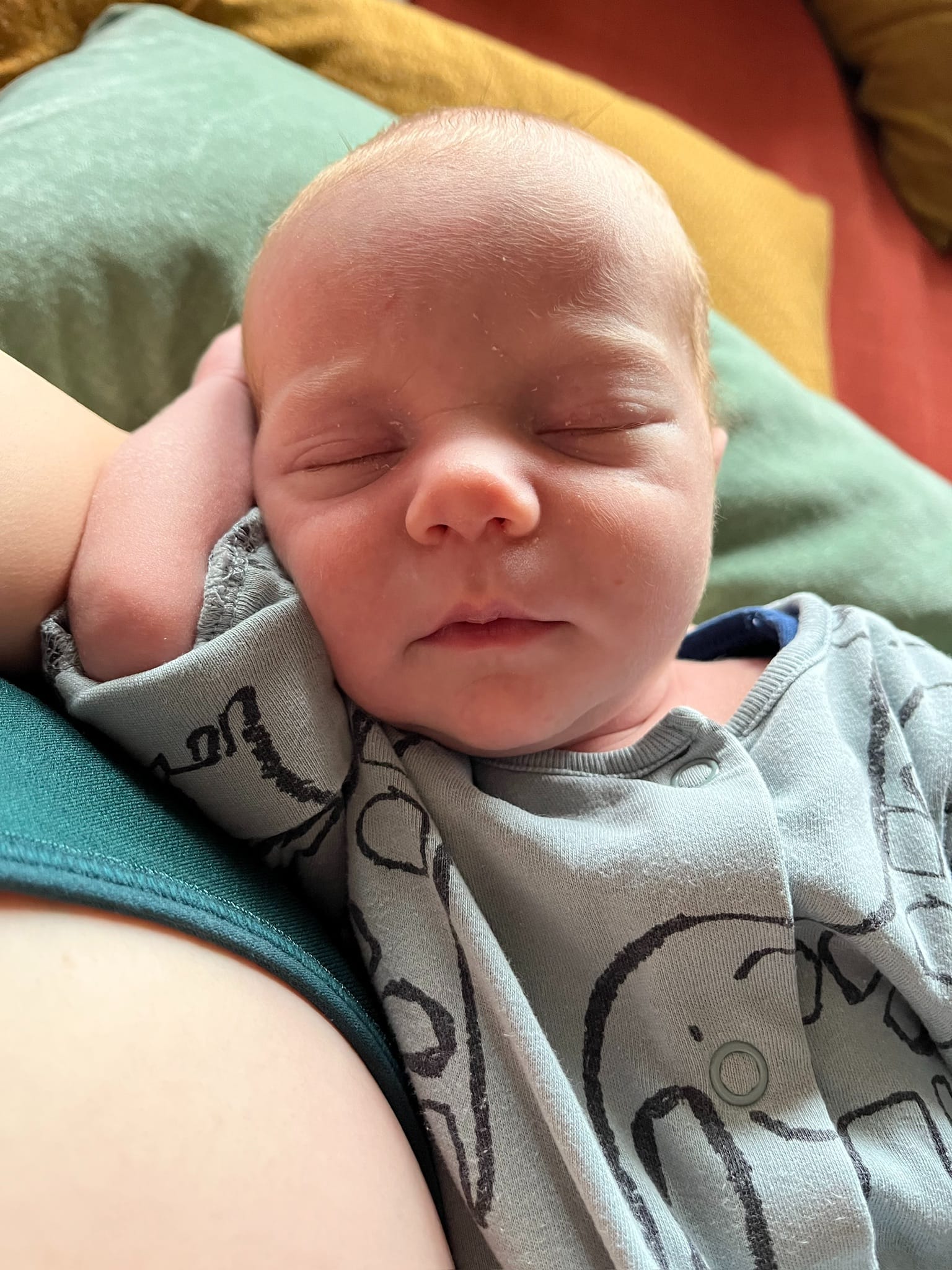 Week 4: 12/02 - 18/02