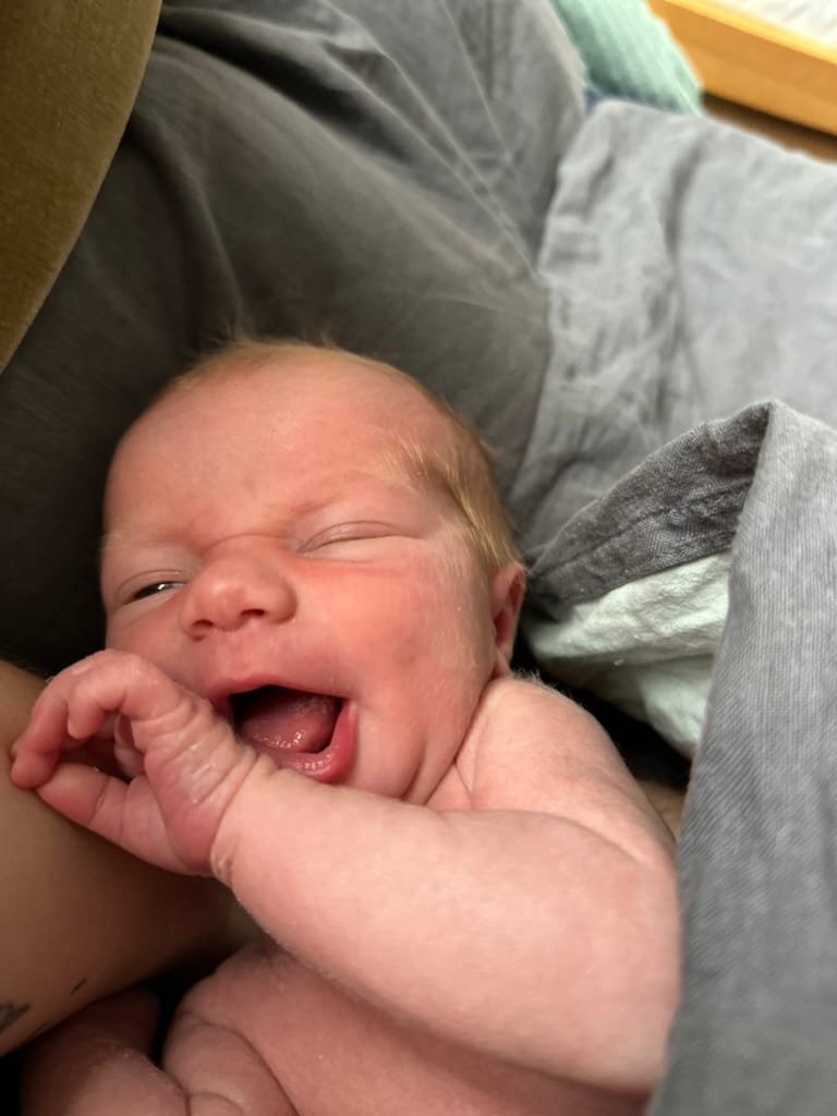 Week 2: 29/01 - 04/02