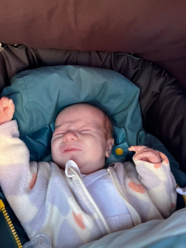 Week 7: 05/03 - 11/03