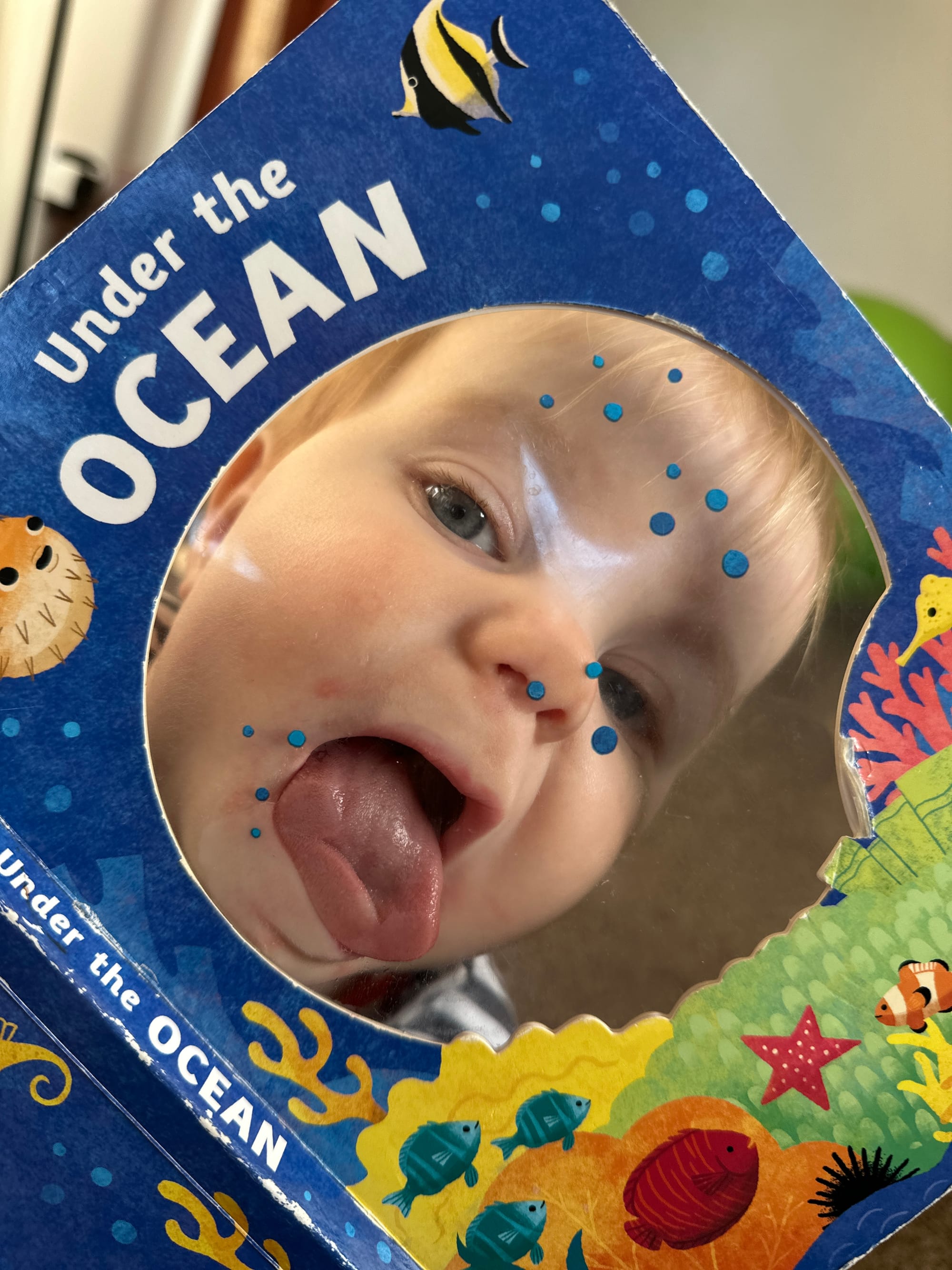 Week 43: 12/10 - 18/11