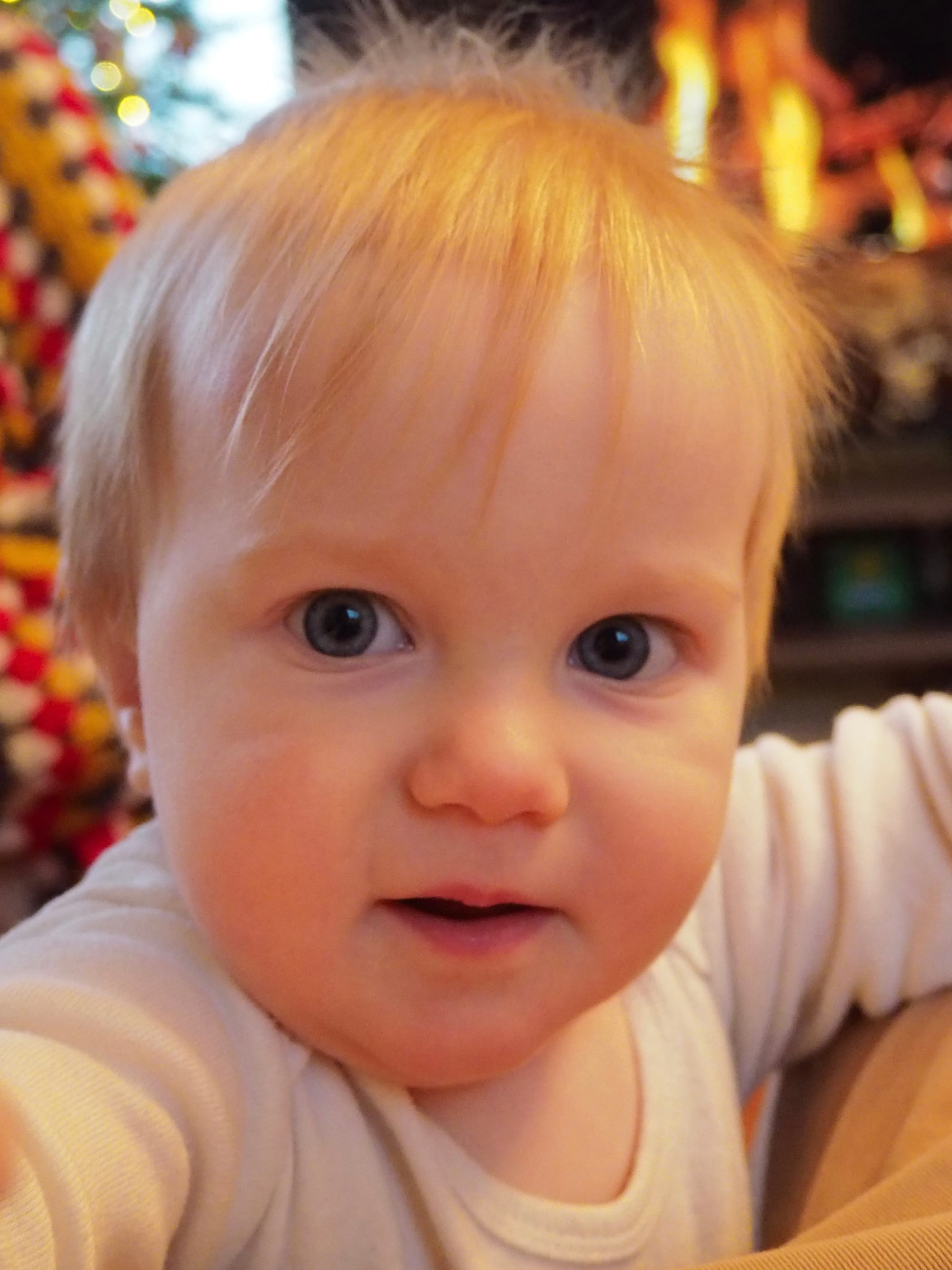 Week 47: 10/12 - 16/12