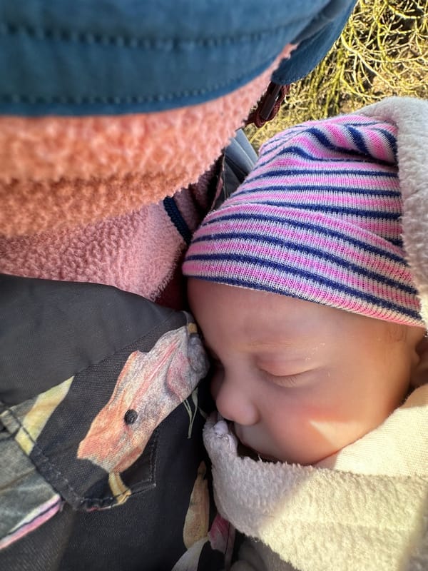 Week 8: 12/03 - 18/03