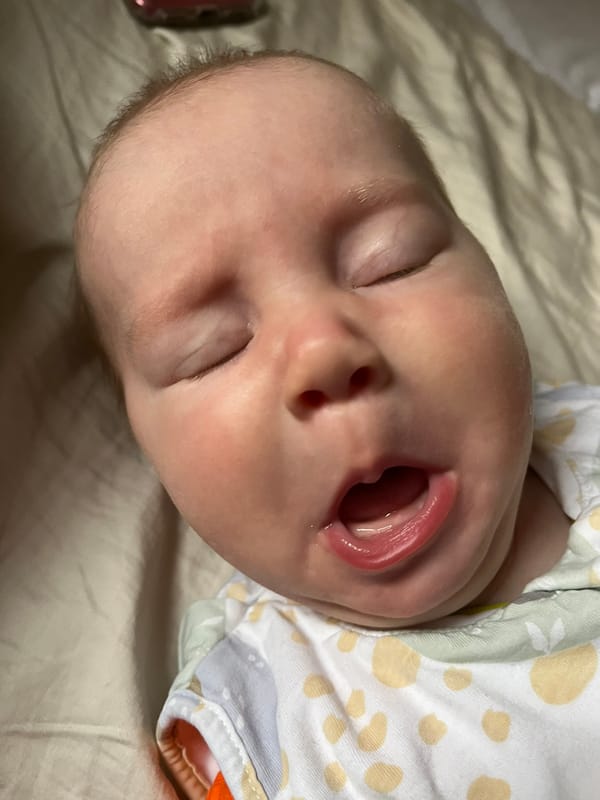 Week 14: 23/04 - 29/04