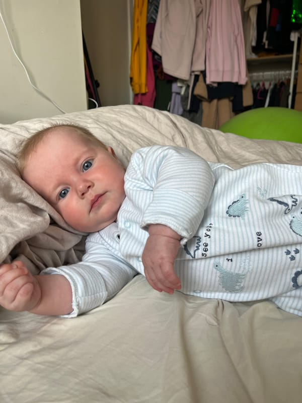 Week 21: 11/06 - 17/06