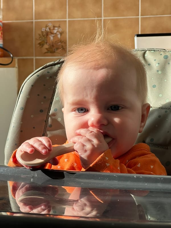 Week 27: 23/07 - 29/07