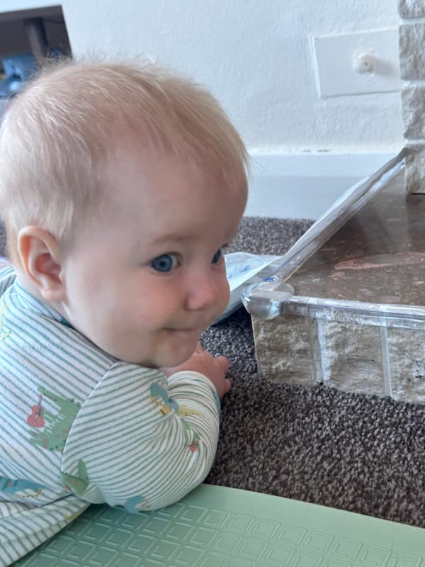 Week 31: 20/08 - 26/08