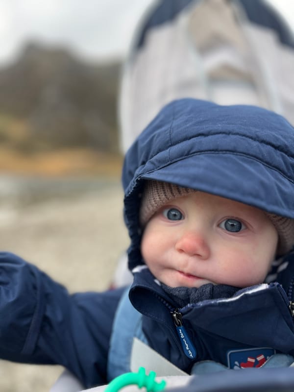 Week 41: 29/10 - 04/11