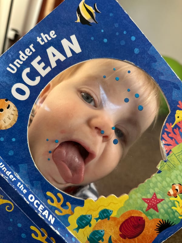 Week 43: 12/10 - 18/11