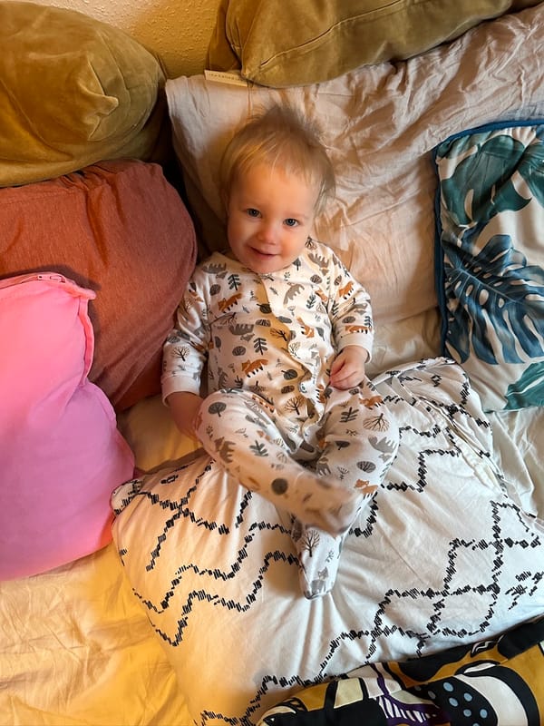 Week 50: 31/12 - 06/01