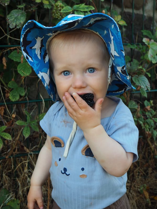 Year 1 Week 28: 28/07 - 04/08