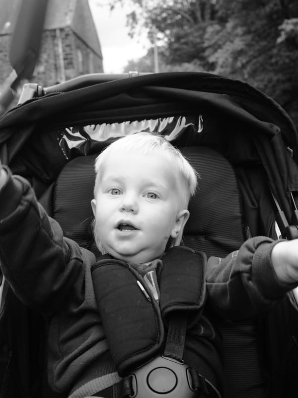 Year 1 Week 31: 19/08 - 25/08